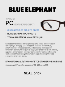 Очки BLUE ELEPHANT NEAL Brick модель CP114541 Фото