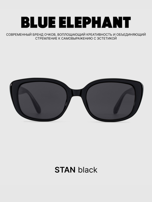 Очки BLUE ELEPHANT STAN Black модель CP114449 Фото