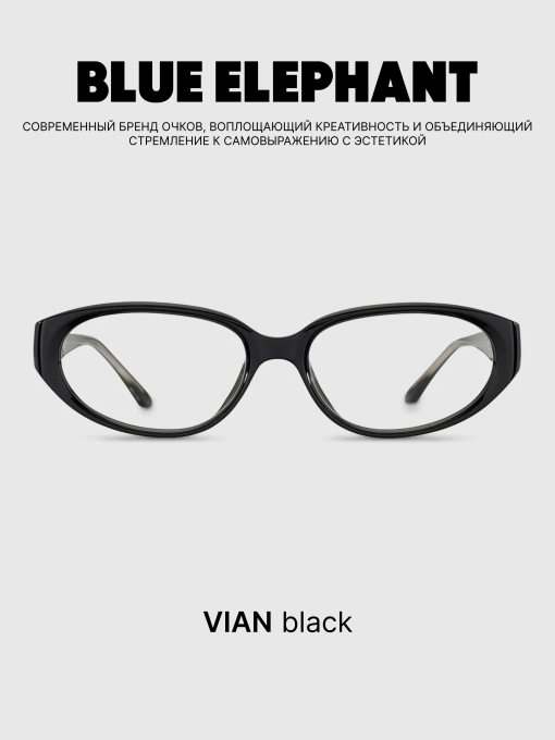 Очки BLUE ELEPHANT VIAN Black модель CP114519 Фото