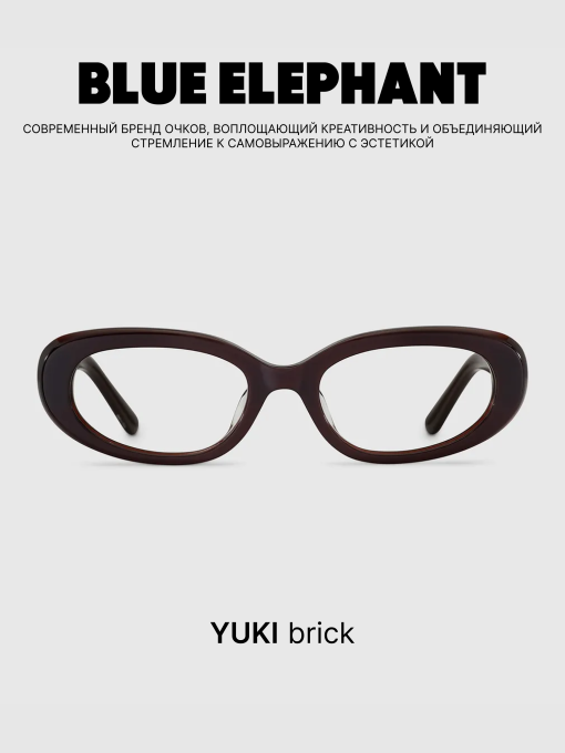 Очки BLUE ELEPHANT YUKI Brick модель CP114548 Фото