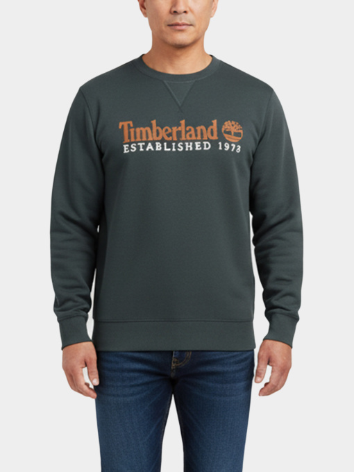 Худи и свитшоты Timberland модель TB0A2FEQ317 Фото
