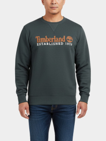 Худи и свитшоты Timberland модель TB0A2FEQ317 Фото