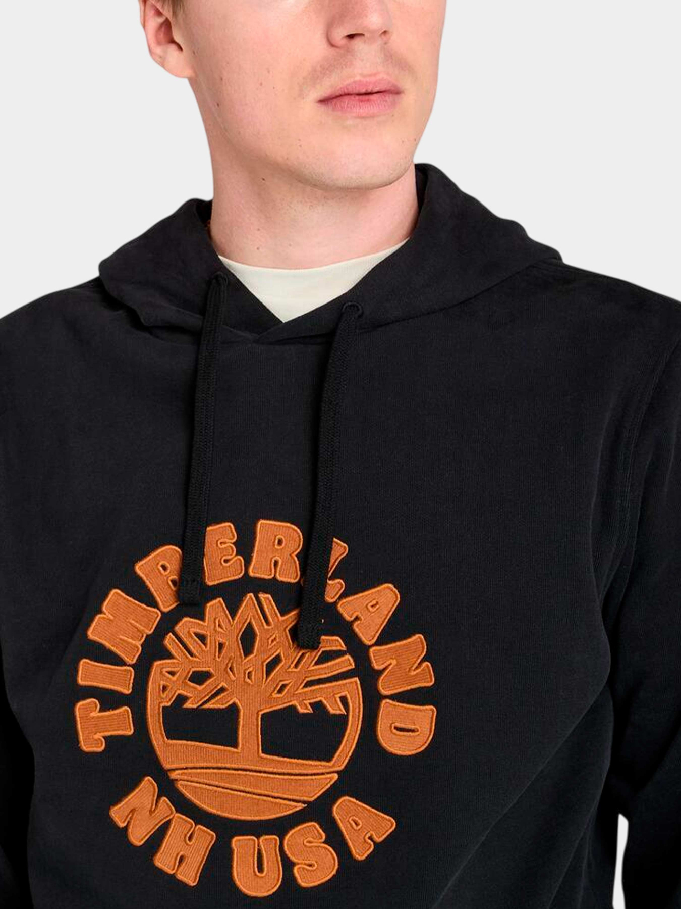 Худи и свитшоты Timberland модель TB0A5MBT001 Фото