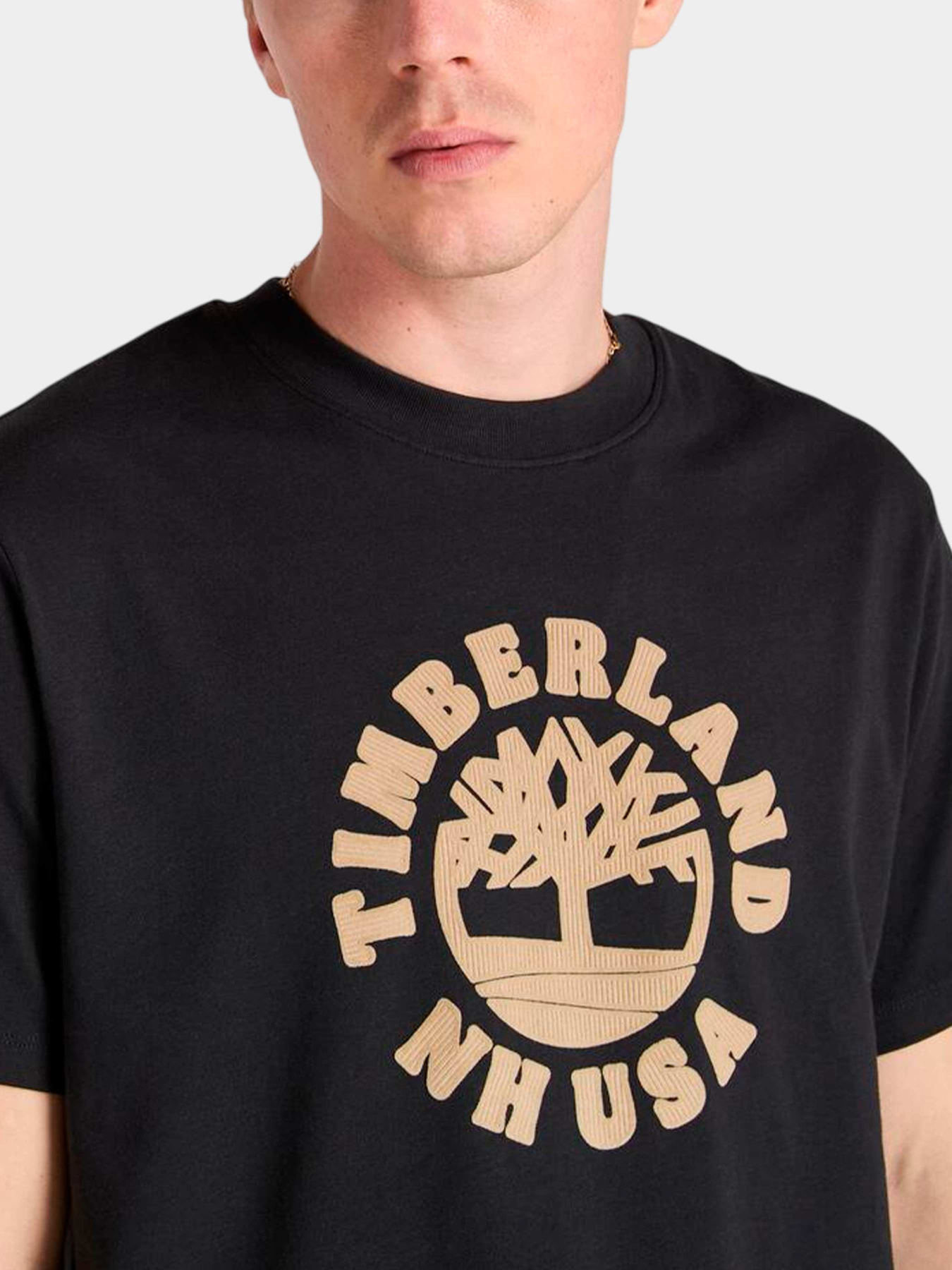 Футболки и поло Timberland модель TB0A5MJ2001 Футболки и поло Timberland модель TB0A5MJ2001 Фото
