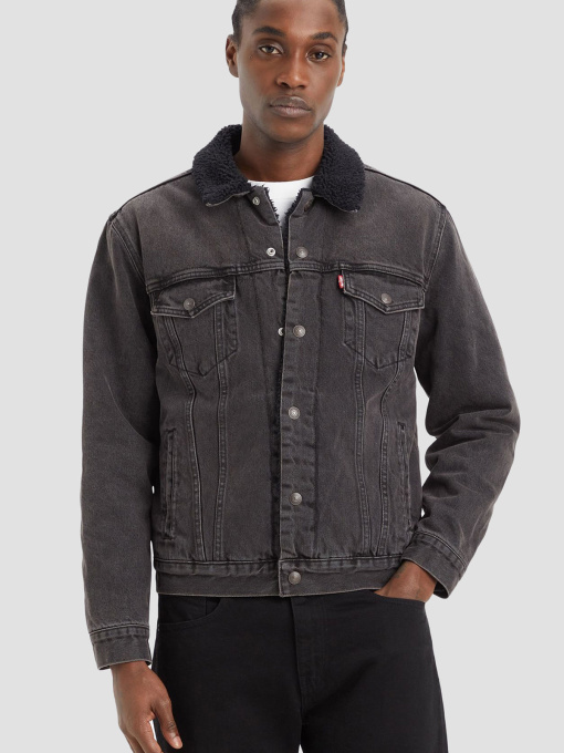 Куртки и дубленки Levi's модель 16365-0241 Фото