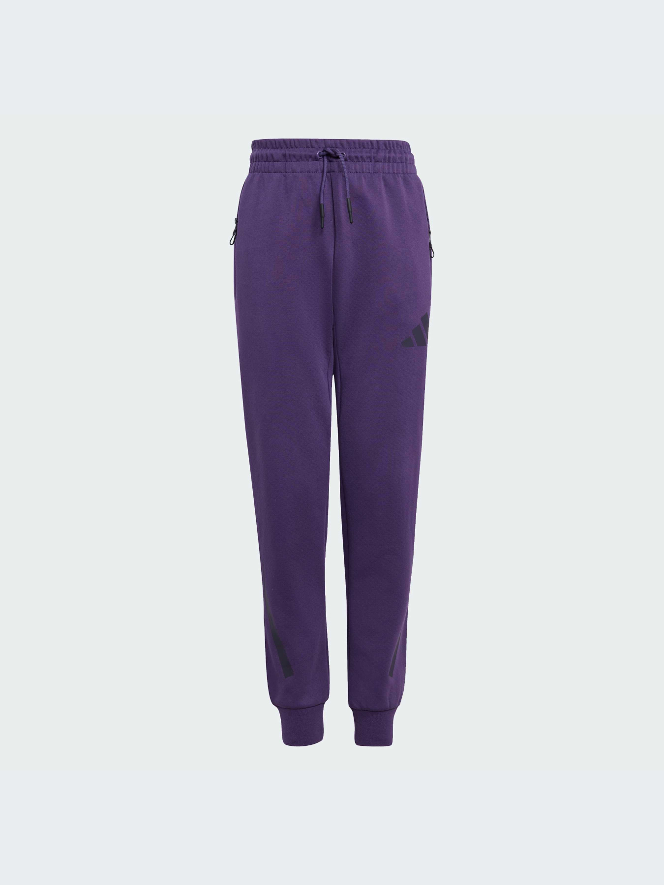 Брюки Adidas ZNE модель JW2429-KZ Фото