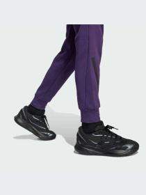 Брюки Adidas ZNE модель JW2429-KZ Фото