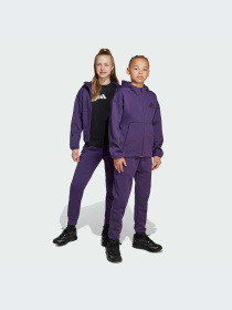 Брюки Adidas ZNE модель JW2429-KZ Фото