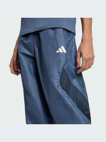 Брюки Adidas модель JZ6433-KZ Фото