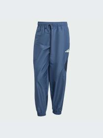 Брюки Adidas модель JZ6433-KZ Фото