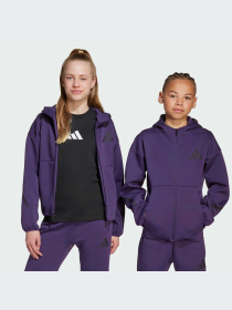 Худи и свитшоты Adidas ZNE модель JW2426-KZ Фото