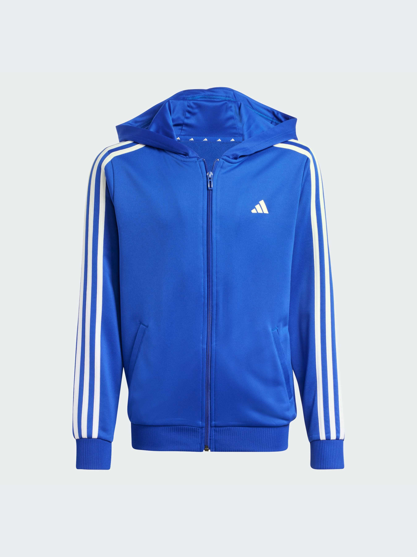 Худи и свитшоты Adidas модель IP2418-KZ Фото