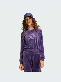 Худи и свитшоты Adidas модель JW2437-KZ Фото