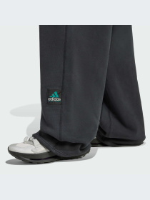 Брюки Adidas модель JX1576-KZ Фото