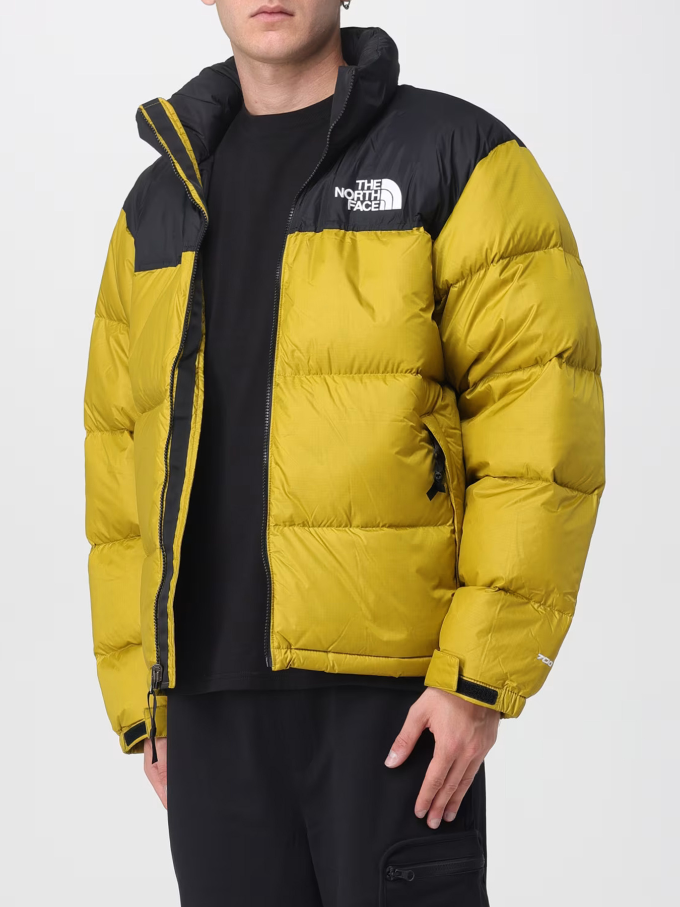 Куртки и дубленки The North Face модель NF0A3C8DDCO1 Фото