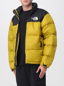 Куртки и дубленки The North Face модель NF0A3C8DDCO1 Фото