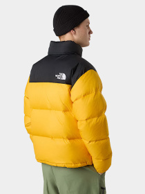 Куртки и дубленки The North Face модель NF0A3C8DGO81 Фото