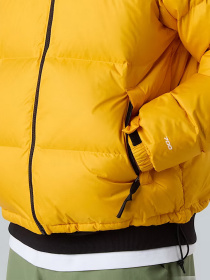 Куртки и дубленки The North Face модель NF0A3C8DGO81 Фото