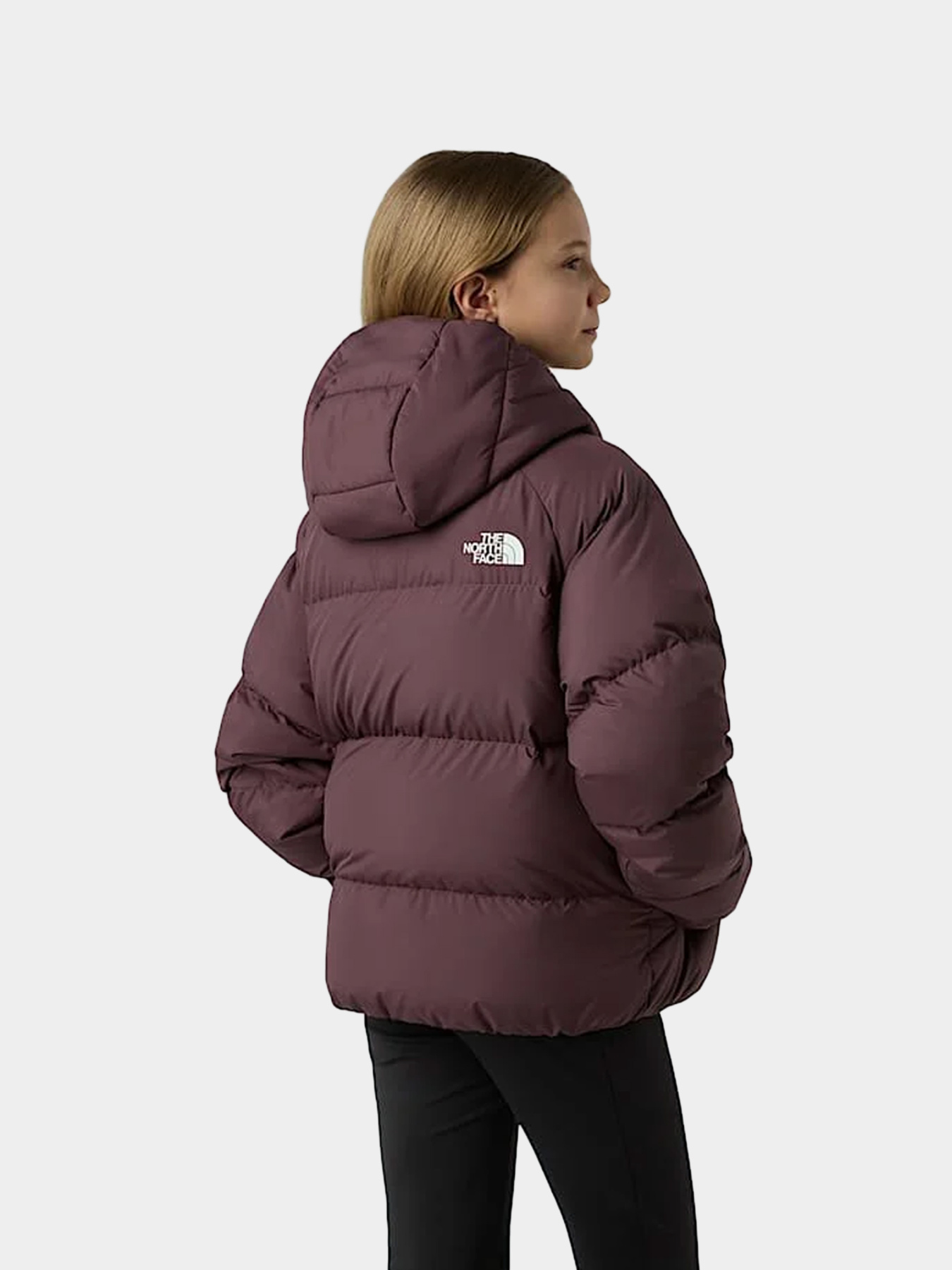 Куртки и дубленки The North Face модель NF0A88UDBQ71 Фото