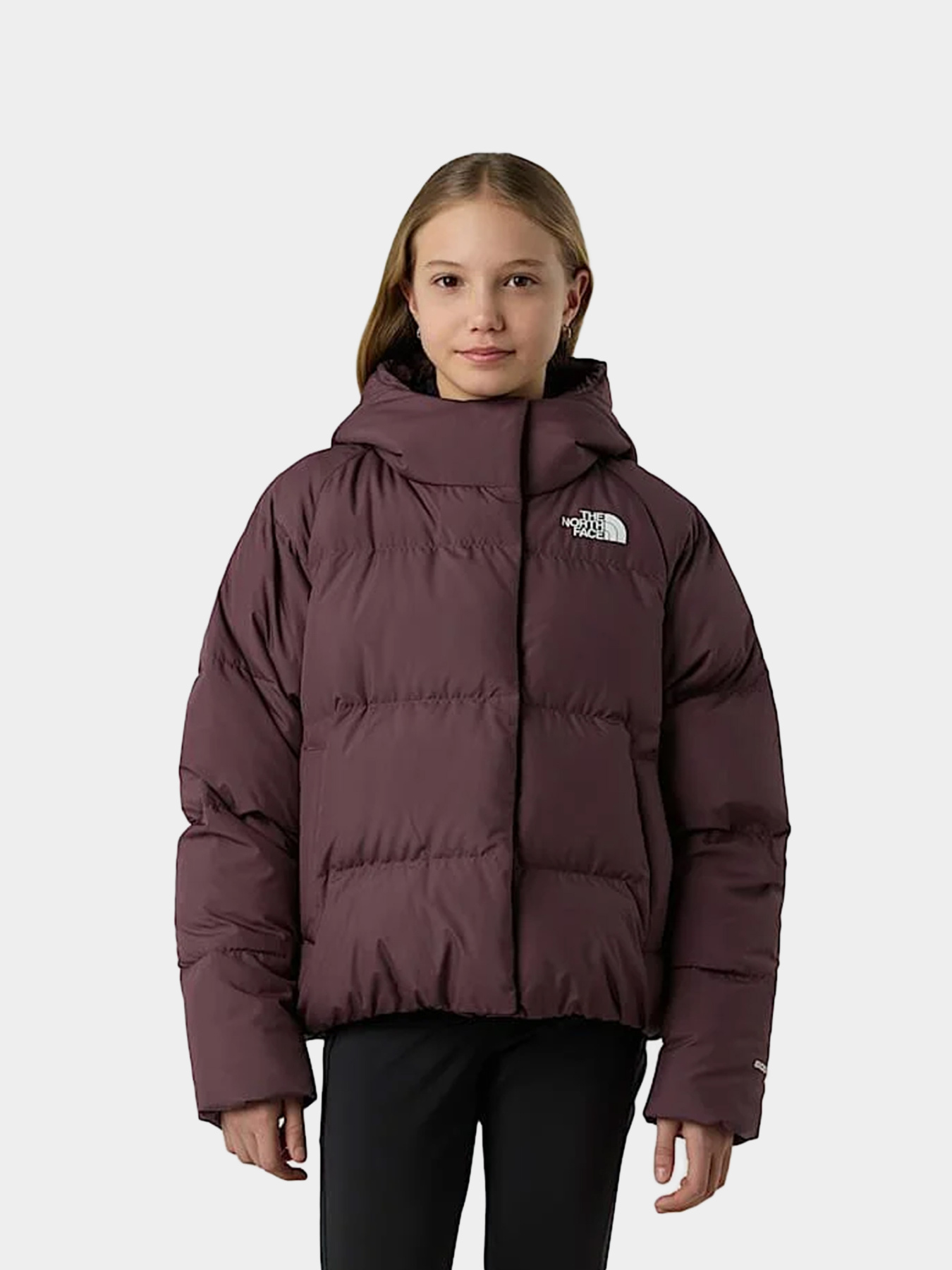 Куртки и дубленки The North Face модель NF0A88UDBQ71 Фото