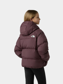Куртки и дубленки The North Face модель NF0A88UDBQ71 Фото