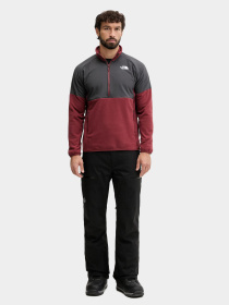 Худи и свитшоты The North Face модель NF0A89JHDO31 Фото