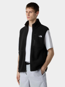 Куртки и дубленки The North Face модель NF0A8B65JK31 Фото