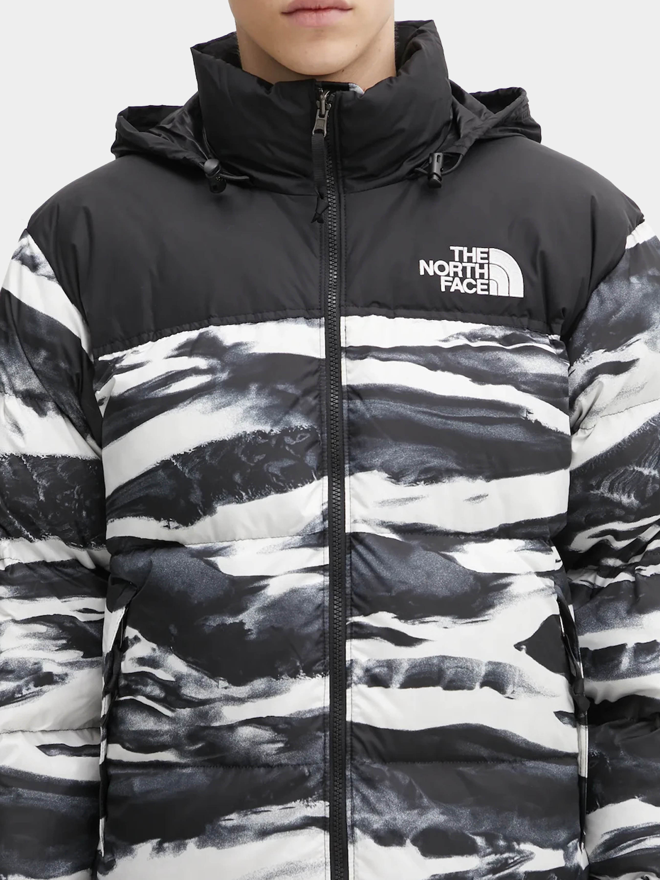 Куртки и дубленки The North Face модель NF0A8D16DJI1 Фото