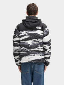 Куртки и дубленки The North Face модель NF0A8D16DJI1 Фото