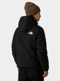 Куртки и дубленки The North Face модель NF0A8DQTJK31 Фото