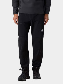 Брюки The North Face модель NF0A8EKQJK31 Фото