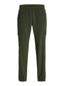 Брюки JACK & JONES модель 12258481_KombuGreen Фото