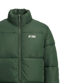 Куртки и дубленки JACK & JONES модель 12238745_MountainView Фото
