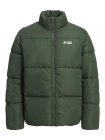 Куртки и дубленки JACK & JONES модель 12238745_MountainView Фото