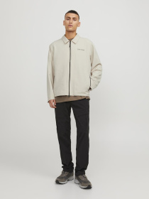 Куртки и дубленки JACK & JONES модель 12252916_Moonbeam Фото