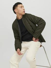 Куртки и дубленки JACK & JONES модель 12237729_Rosin Фото