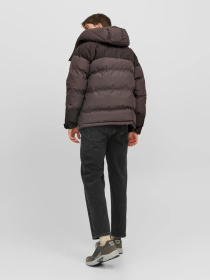Куртки и дубленки JACK & JONES модель 12238881_ChocolateBrown Фото