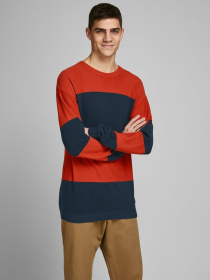 Худи и свитшоты JACK & JONES модель 12167889_Chili Фото