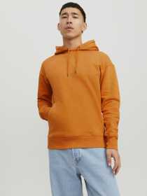 Худи и свитшоты JACK & JONES модель 12208157_DesertSun Фото