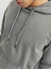 Худи и свитшоты JACK & JONES модель 12234739_SedonaSage Фото