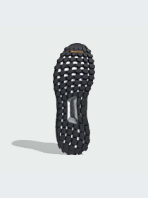 Кроссовки Adidas Ultraboost модель JP7791-KZ Фото