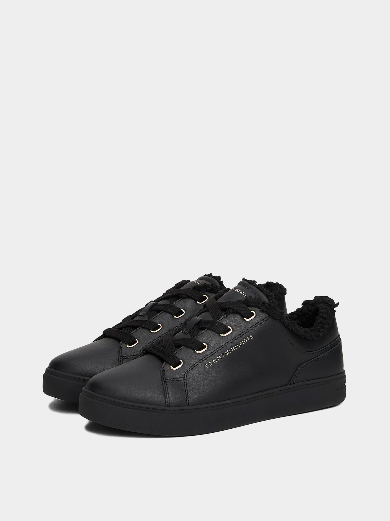 Кеды Tommy Hilfiger модель FW0FW08824-BDS Фото