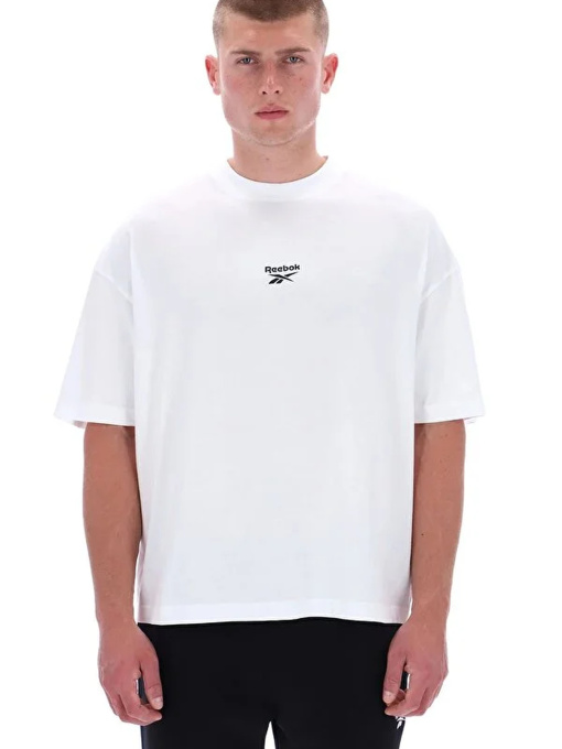 Футболки и поло Reebok MELVIN MOUNTAIN SS TEE модель 102247897 Фото