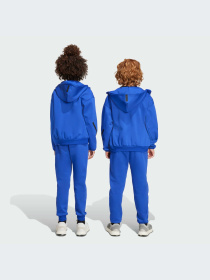 Брюки Adidas ZNE модель KA0666-KZ Фото