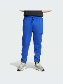 Брюки Adidas ZNE модель KA0666-KZ Фото