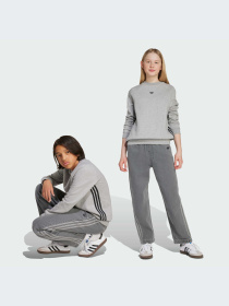 Брюки Adidas Adicolor модель JV7802-KZ Фото
