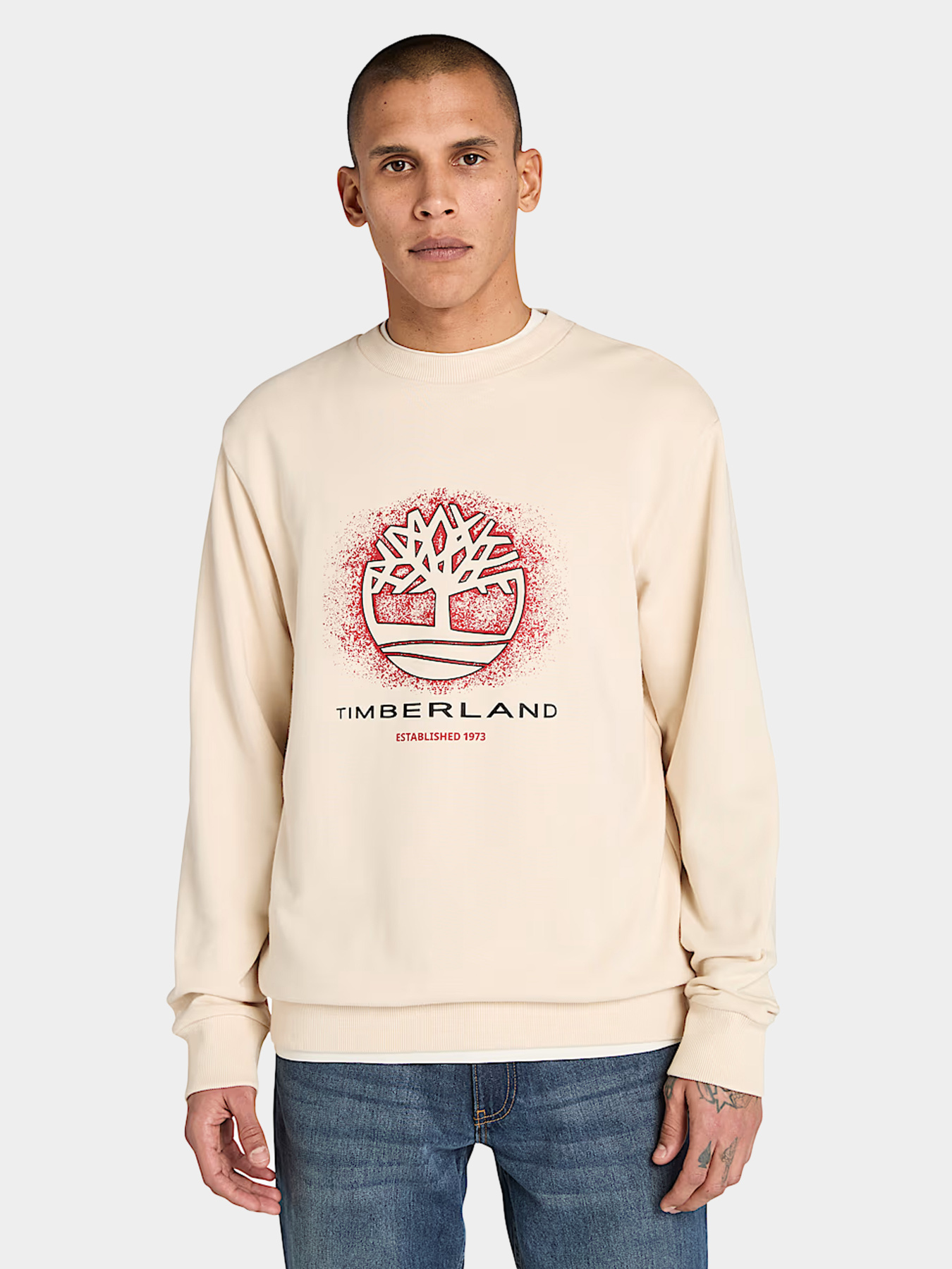 Худи и свитшоты Timberland модель TB0A5MC7EFL Фото