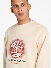 Худи и свитшоты Timberland модель TB0A5MC7EFL Фото