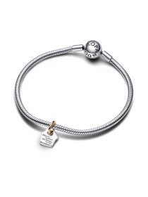 Шармы-подвески PANDORA Moments модель 763205C00 Фото
