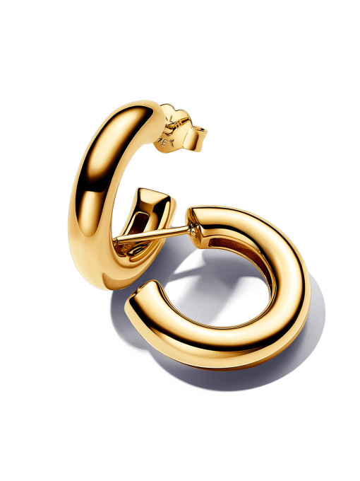 Серьги-кольца PANDORA Essence модель 263266C00 Фото